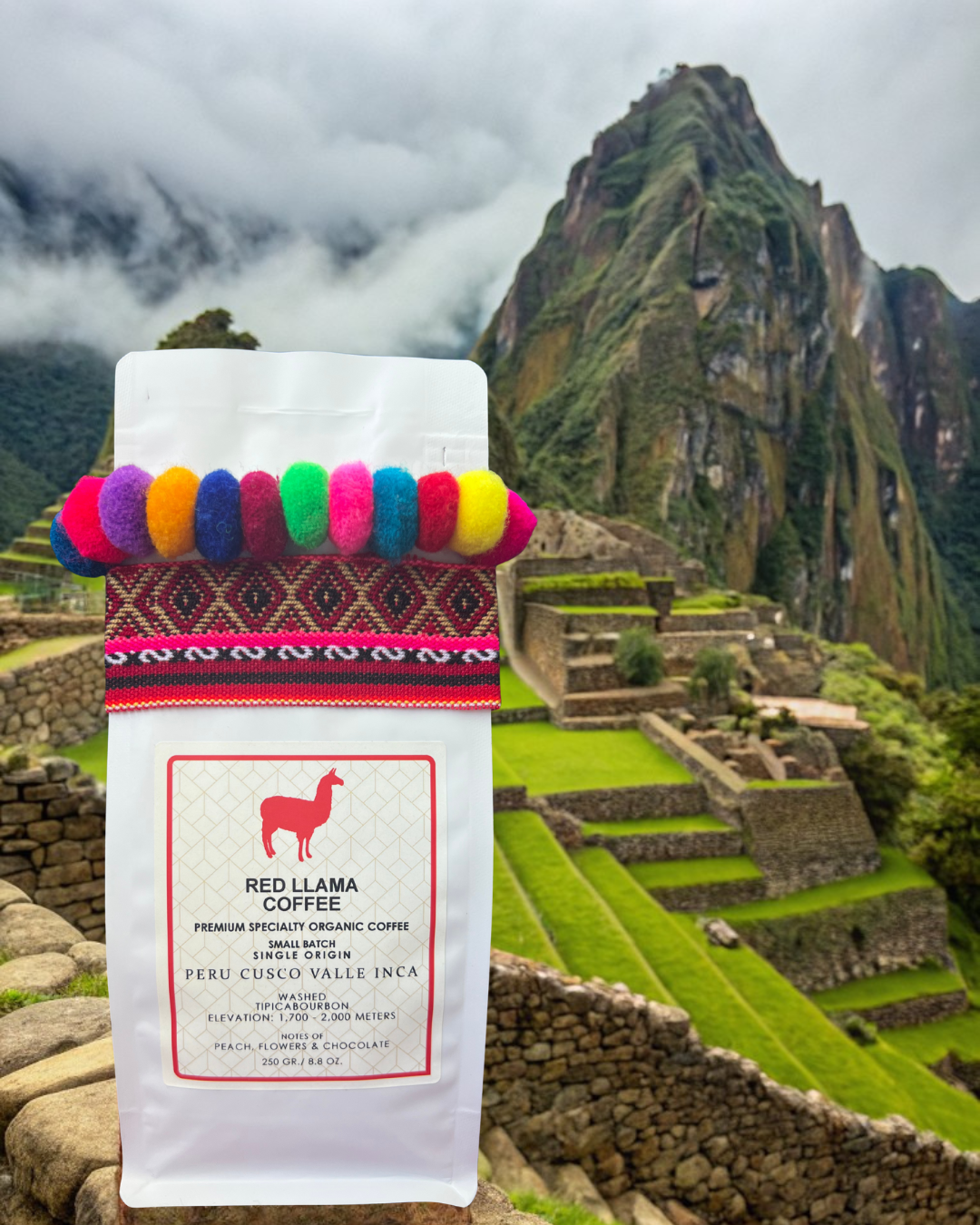 Red Llama Coffee